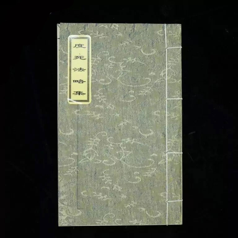 Độ tử pháp chữ nho